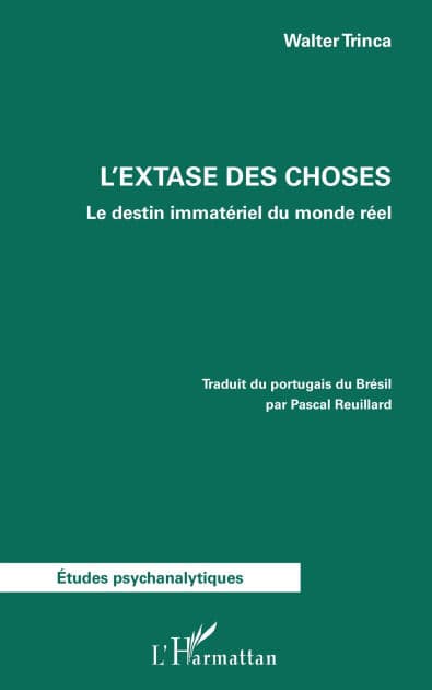 L'extase des choses: Le destin immatériel du monde réel by Walter Trinca