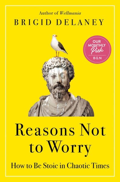Reasons Not to Worry: How to Be Stoic in Chaotic Times by Brigid Delaney