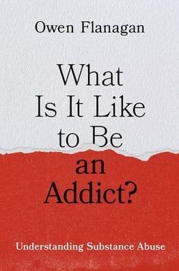 What Is It Like to Be an Addict?: Understanding Substance Abuse by Owen Flanagan
