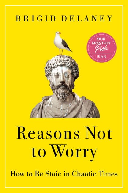 Reasons Not to Worry: How to Be Stoic in Chaotic Times by Brigid Delaney