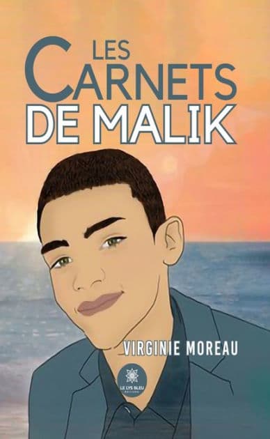 Les carnets de Malik by Virginie Moreau