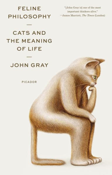 Feline Philosophy: Cats and the Meaning of Life by John Gray