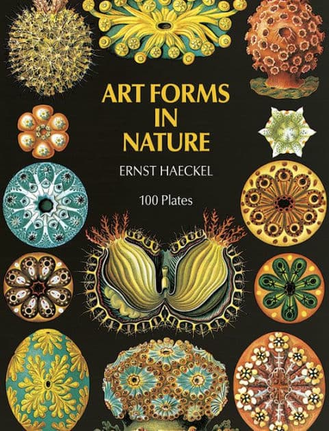 Art Forms in Nature by Ernst Haeckel