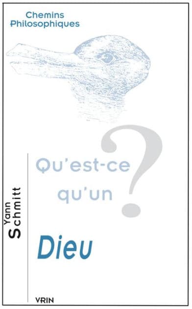Qu'est-ce qu'un Dieu? by Yann Schmitt