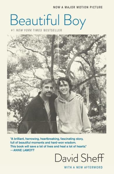 Beautiful Boy (tie-In): A Father's Journey Through His Son's Addiction by David Sheff