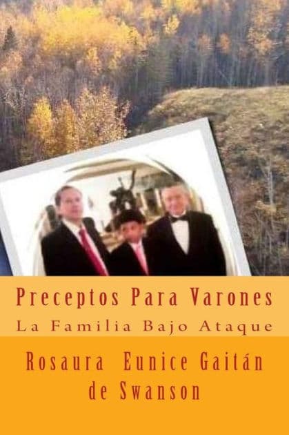 Preceptos Para Varones: Construyendo Una Torre Fuerte by Rosaura Eunice Gaitan De Swanson