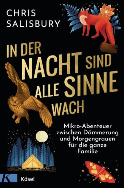 In der Nacht sind alle Sinne wach: Mikro-Abenteuer zwischen Dämmerung und Morgengrauen für die ganze Familie by Chris Salisbury