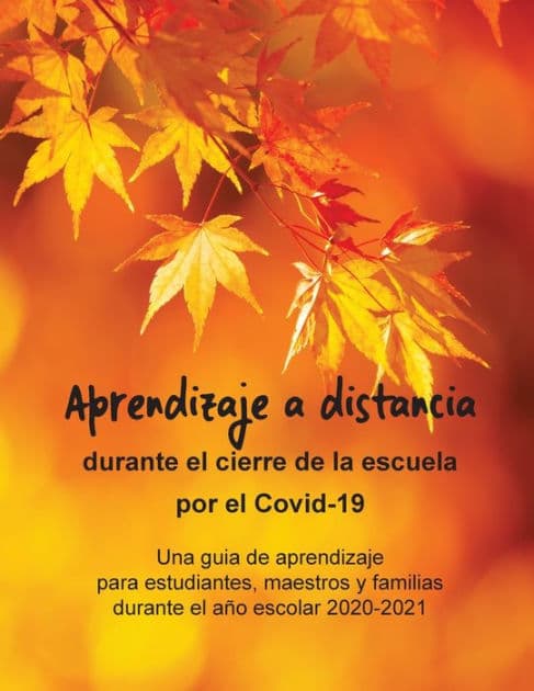 Aprendizaje a distancia durante el cierre de la escuela por el Covid-19: Una guia de aprendizaje para estudiantes, maestros y familias durante el aï¿½o escolar 2020-2021 by David Daniels