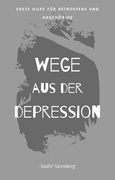 Wege aus der Depression by Andre Sternberg