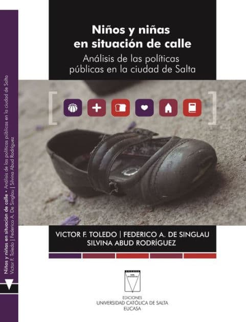 Niños y niñas en situación de calle: Análisis de las políticas públicas en la ciudad de Salta by Victor F. Toledo