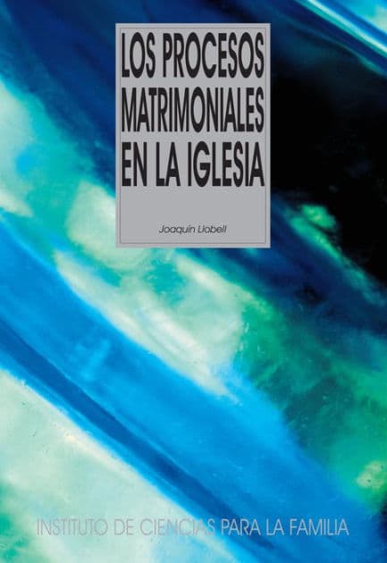 Los procesos matrimoniales en la Iglesia by Joaquín Llobell