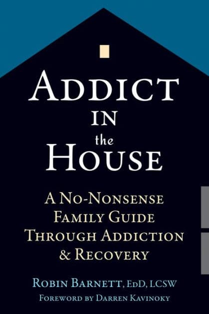 Addict in the House: A No-Nonsense Family Guide Through Addiction and Recovery by Robin Barnett EdD