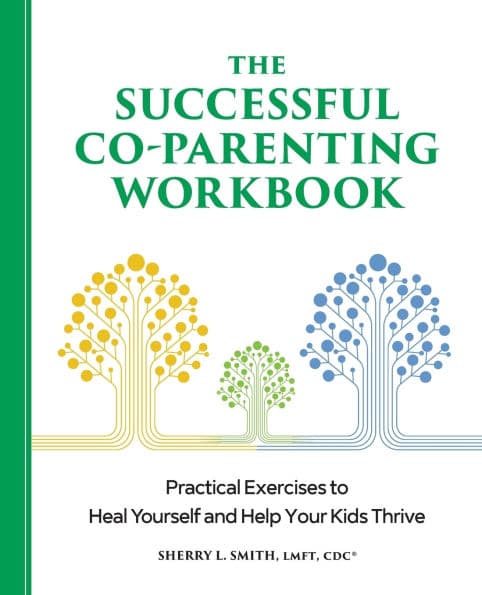 The Successful Co-Parenting Workbook: Practical Exercises to Heal Yourself and Help Your Kids Thrive by Sherry L. Smith LMFT