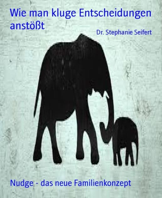 Wie man kluge Entscheidungen anstößt: Nudge - das neue Familienkonzept by Dr. Stephanie Seifert