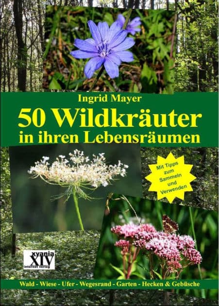 50 Wildkräuter in ihren Lebensräumen: Wald - Wiese - Ufer - Wegesrand - Garten - Hecken & Gebüsche by Ingrid Mayer