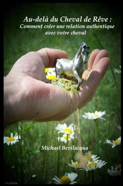 Au-delï¿½ du Cheval de Rï¿½ve: Comment crï¿½er une relation authentique avec votre cheval by Robert Cook