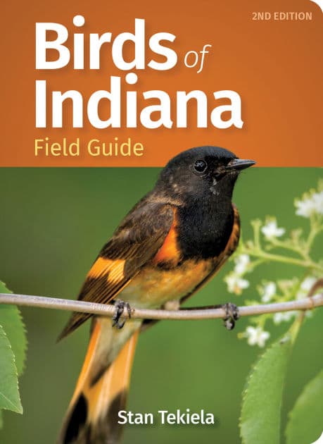 Birds of Indiana Field Guide by Stan Tekiela