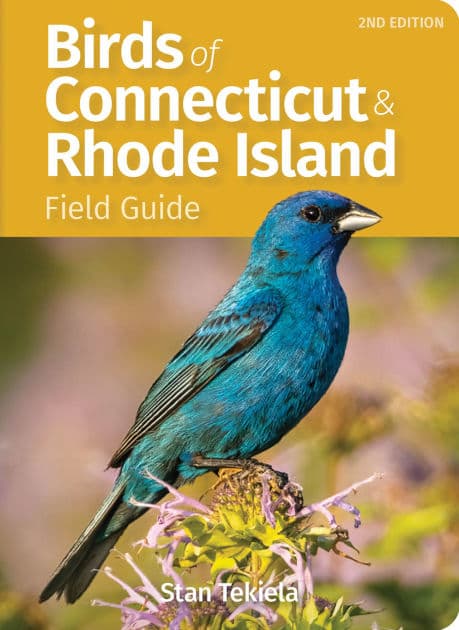 Birds of Connecticut & Rhode Island Field Guide by Stan Tekiela
