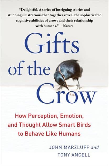 Gifts of the Crow: How Perception, Emotion, and Thought Allow Smart Birds to Behave Like Humans by John Marzluff Ph.D.