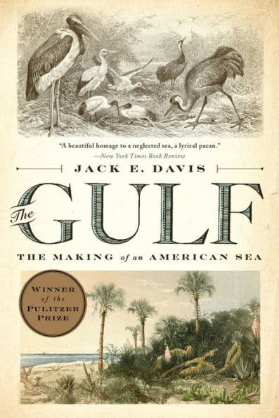The Gulf: The Making of an American Sea (Pulitzer Prize Winner) by Jack E. Davis