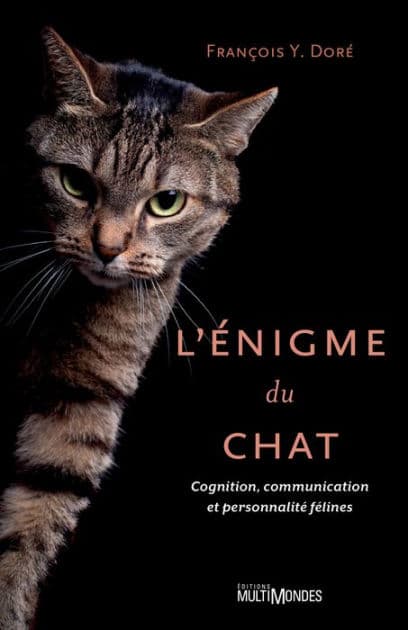 L'énigme du chat by François Y. Doré