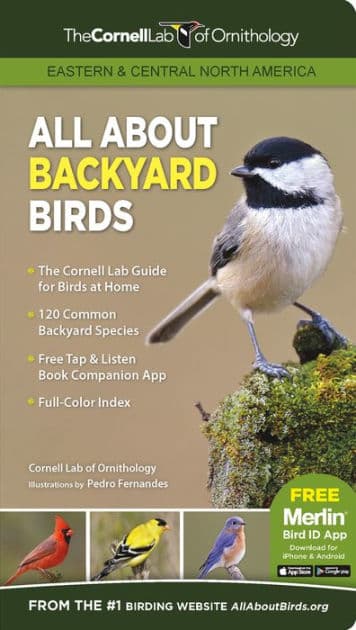 All About Backyard Birds- Eastern & Central North America by Cornell Lab of Ornithology