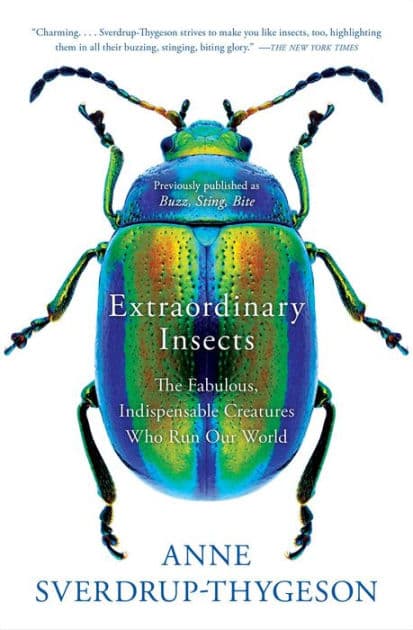 Extraordinary Insects: The Fabulous, Indispensable Creatures Who Run Our World by Anne Sverdrup-Thygeson