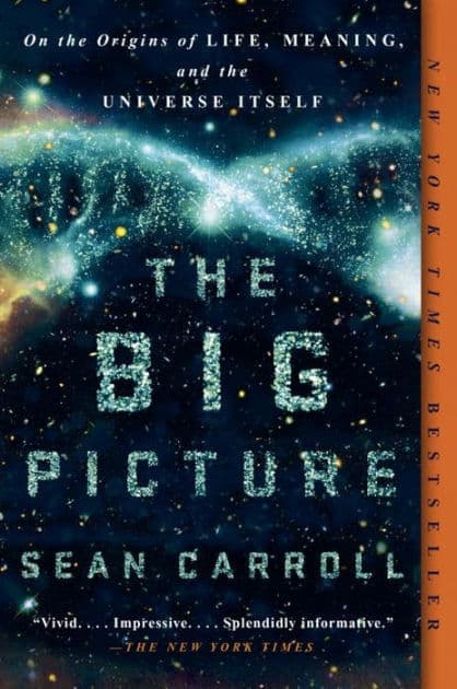 The Big Picture: On the Origins of Life, Meaning, and the Universe Itself by Sean Carroll