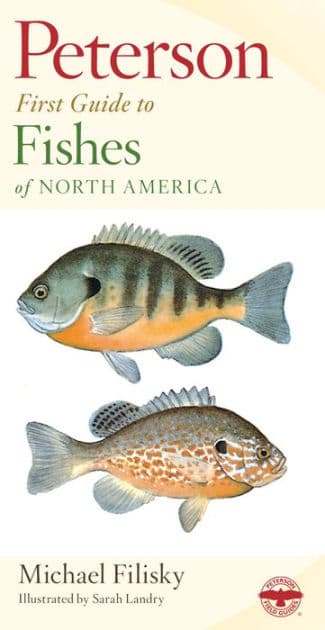 Peterson First Guide To Fishes Of North America by Roger Tory Peterson