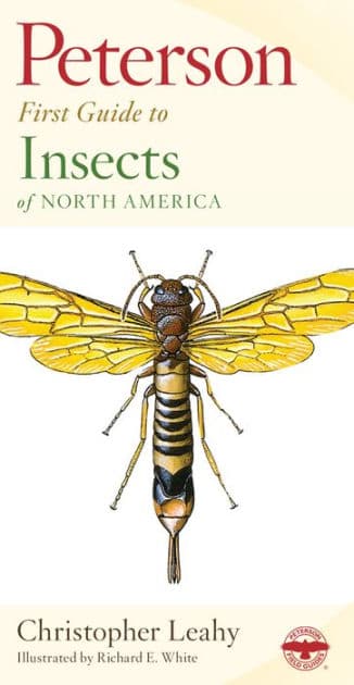 Peterson First Guide To Insects Of North America by Richard E. White