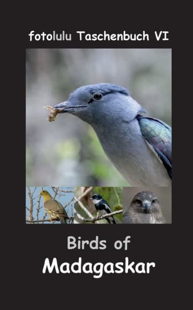 Birds of Madagaskar by Fotolulu