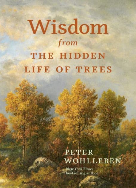 Wisdom From The Hidden Life of Trees by Peter Wohlleben