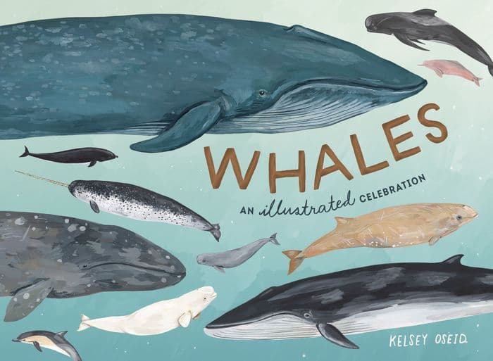 Whales: An Illustrated Celebration by Kelsey Oseid