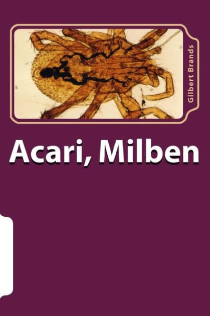 Acari, Milben by Gilbert Brands
