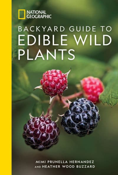 National Geographic Backyard Guide to Edible Wild Plants by Mimi Prunella Hernandez