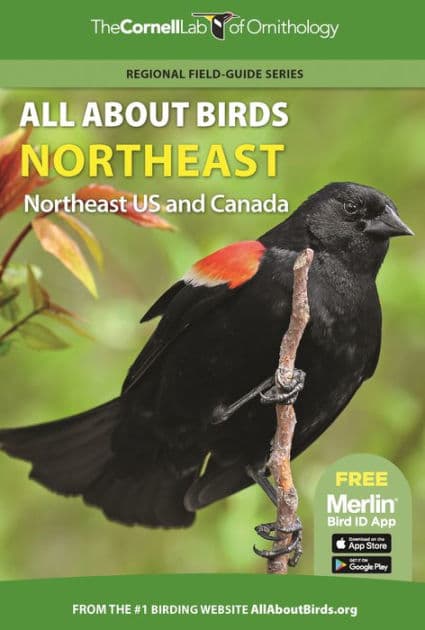 All About Birds Northeast: Northeast US and Canada by Cornell Lab of Ornithology
