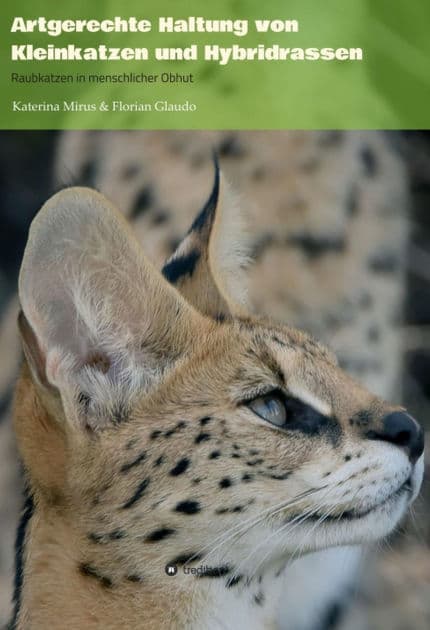 Artgerechte Haltung von Kleinkatzen und Hybridrassen: Raubkatzen in menschlicher Obhut by Katerina Mirus
