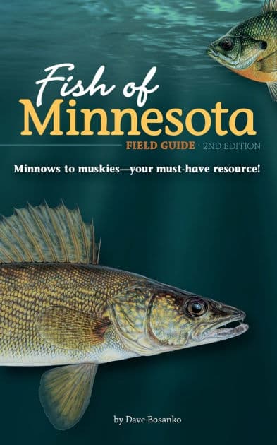 Fish of Minnesota Field Guide by Dave Bosanko
