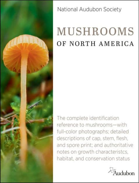 National Audubon Society Mushrooms of North America by National Audubon Society