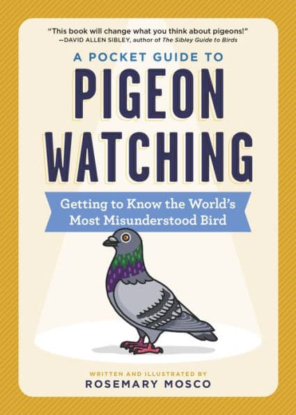 A Pocket Guide to Pigeon Watching: Getting to Know the World's Most Misunderstood Bird by Rosemary Mosco