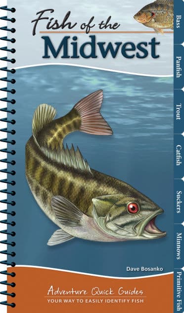 Fish of the Midwest: Your Way to Easily Identify Fish by Dave Bosanko