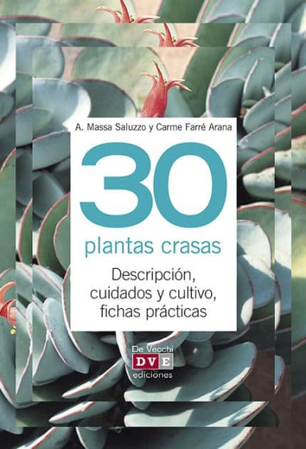 30 plantas crasas by Alberto Massa Saluzzo