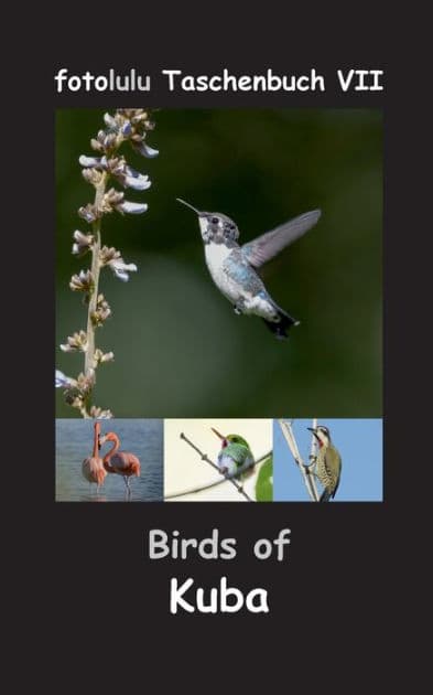 Birds of Kuba by Fotolulu