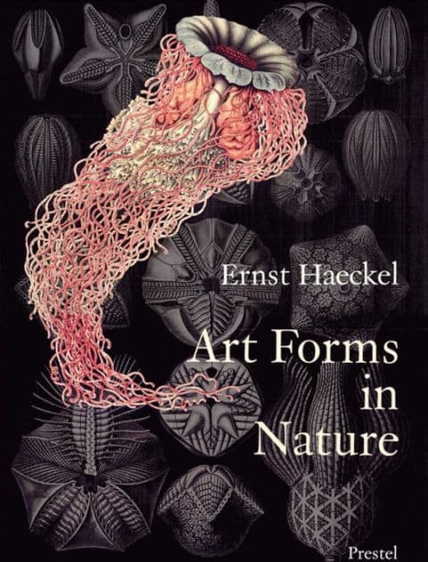 Art Forms in Nature: The Prints of Ernst Haeckel by Olaf Breidbach