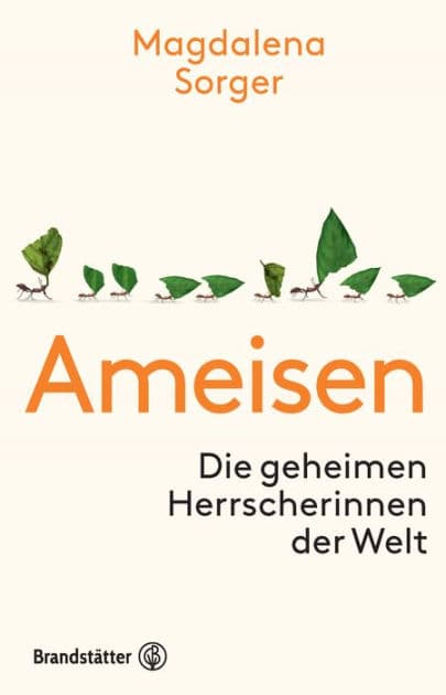 Ameisen: Die geheimen Herrscherinnen der Welt by Magdalena Sorger