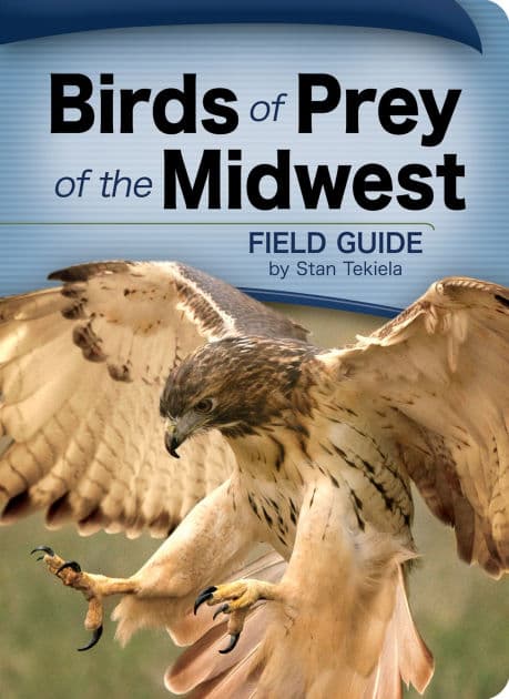 Birds of Prey of the Midwest Field Guide by Stan Tekiela