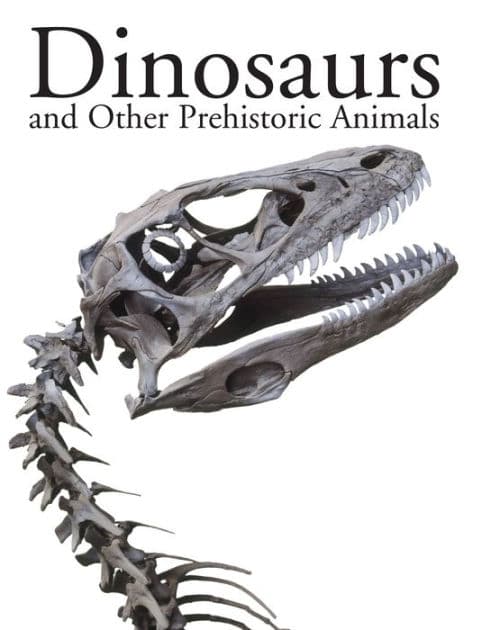 Dinosaurs by Amber Books