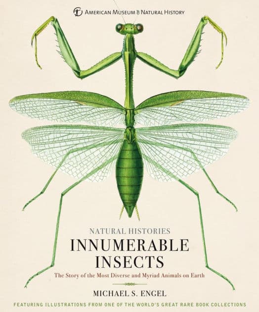Innumerable Insects: The Story of the Most Diverse and Myriad Animals on Earth by Michael S. Engel