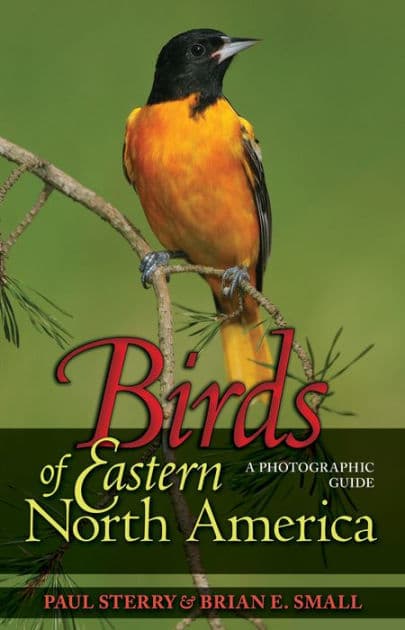 Birds of Eastern North America: A Photographic Guide by Paul Sterry