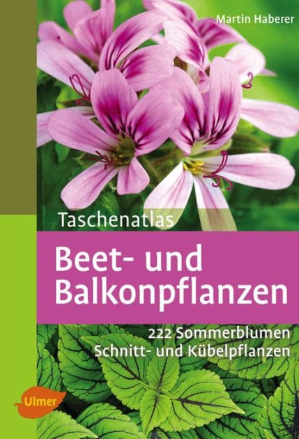 Beet- und Balkonpflanzen: 222 Sommerblumen, Kübelpflanzen und Schnittpflanzen by Martin Haberer